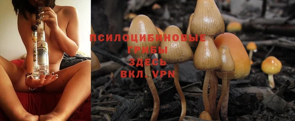 метадон Сосновоборск