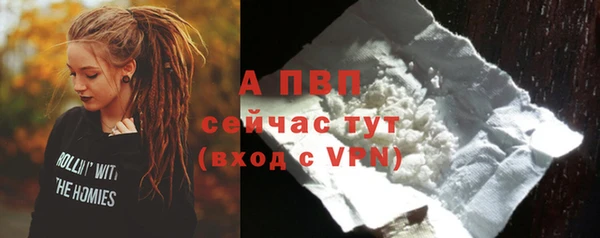 стаф Сосновка