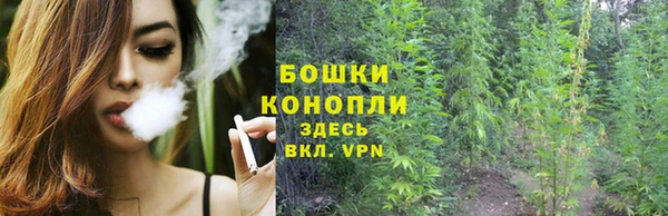 ешки Струнино