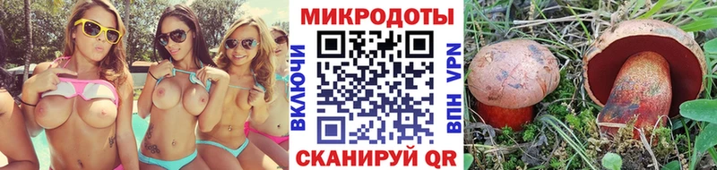 Галлюциногенные грибы Magic Shrooms  Купить закладки  Петухово 